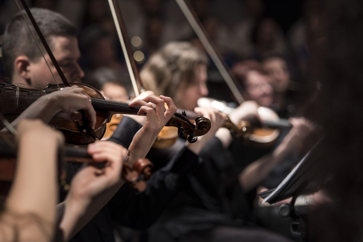 Group of musician playing violin.