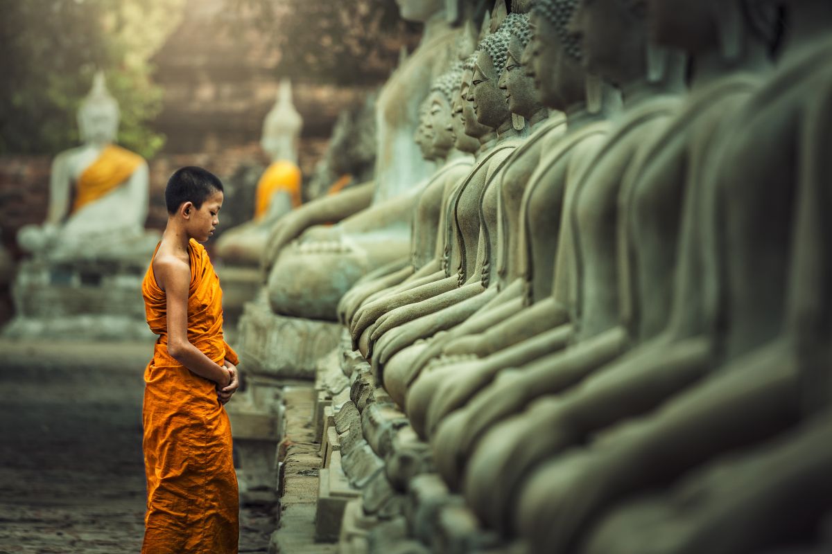 Novices monk vipassana meditation.